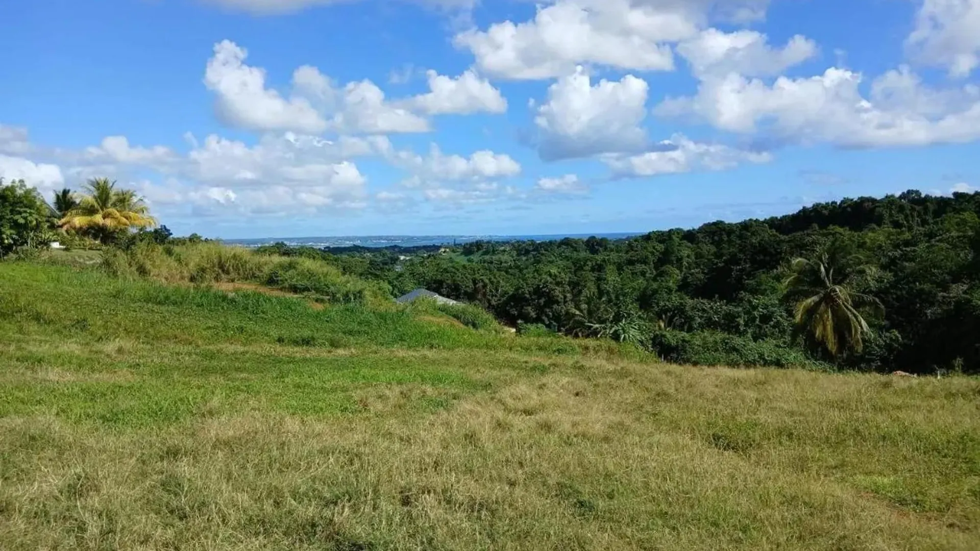 Maison Spacieuse A Petit-Bourg Avec Jardin Guadeloupe